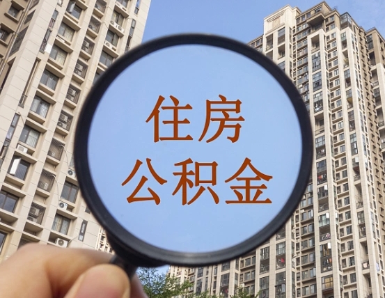 兰考退休后查不到公积金明细了吗（退休后公积金查询不到原因）